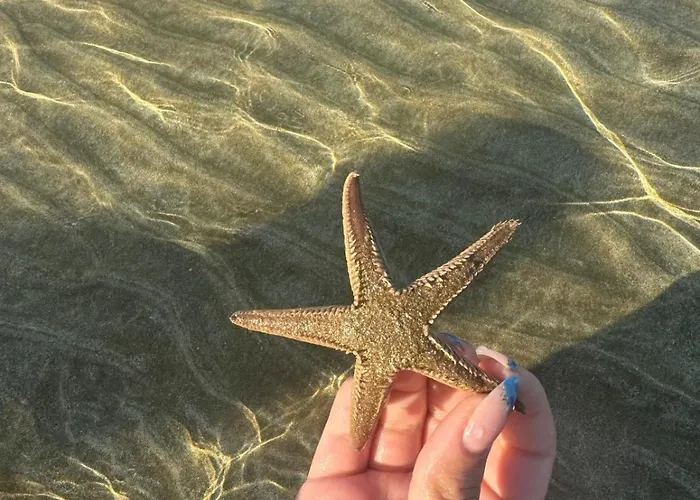 Elegant Famagusta * Famagusta (Northern Cyprus)